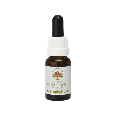 Australian Bush Calophyllum 15ml