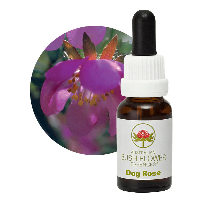 Australian Bush Dog Rose 15ml