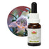 Australian Bush Mint Bush 15ml