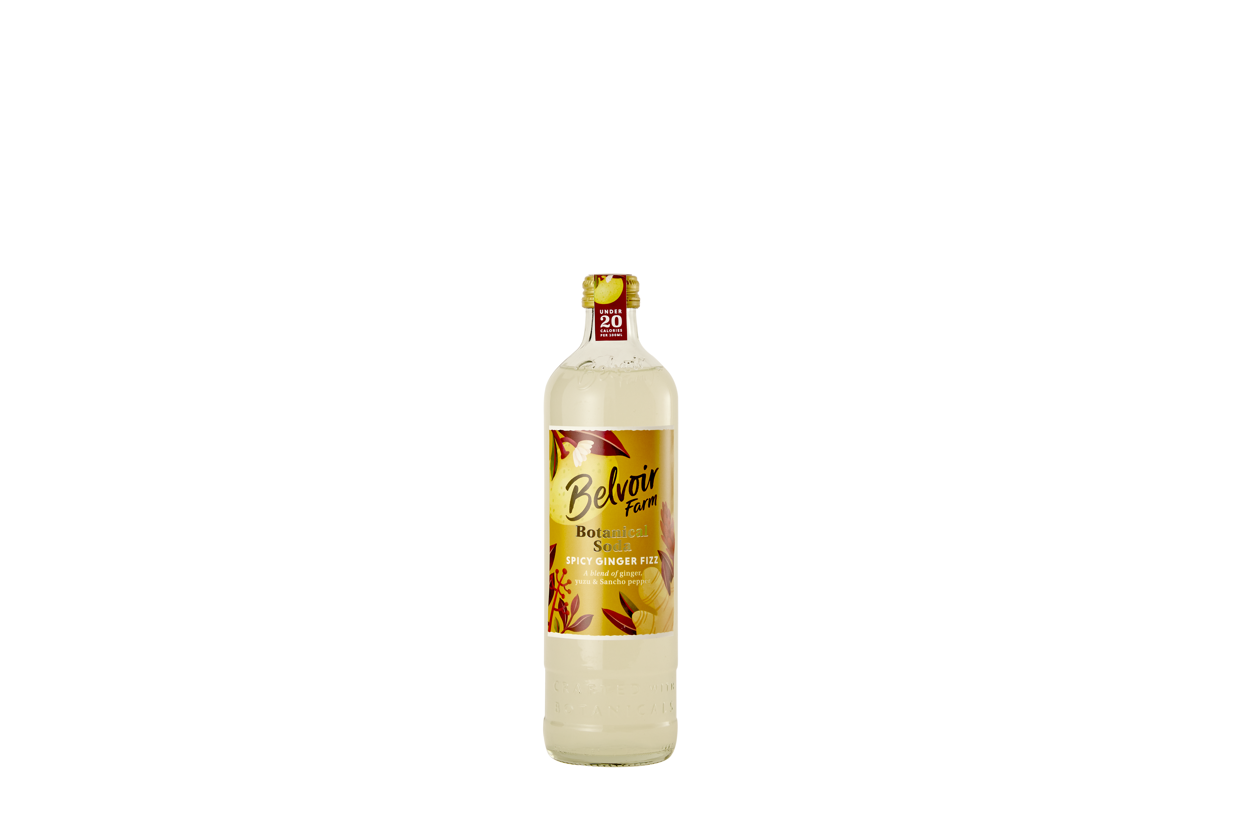 Spicy Ginger Fizz 48599B Default Title / 6x500ml